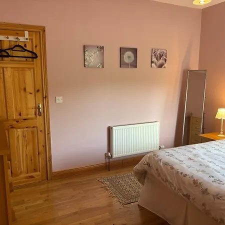Cartown Carrick on Shannon